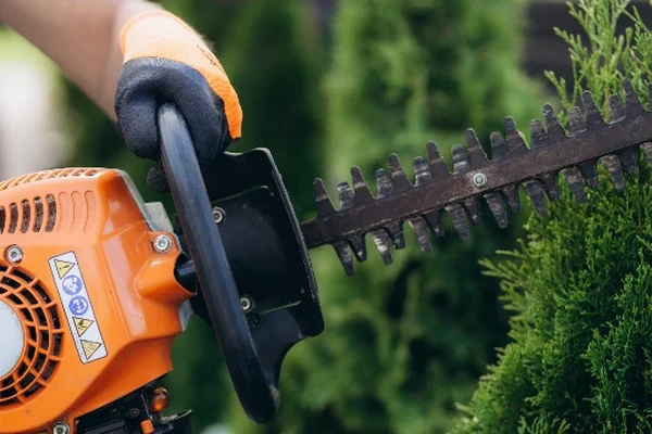 Grünanlagenpflege in Andernach – Rasen mähen, Hecken schneiden und Gartenpflege durch Wirt Gebäudedienste